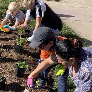 Families planting plants in sensory garden